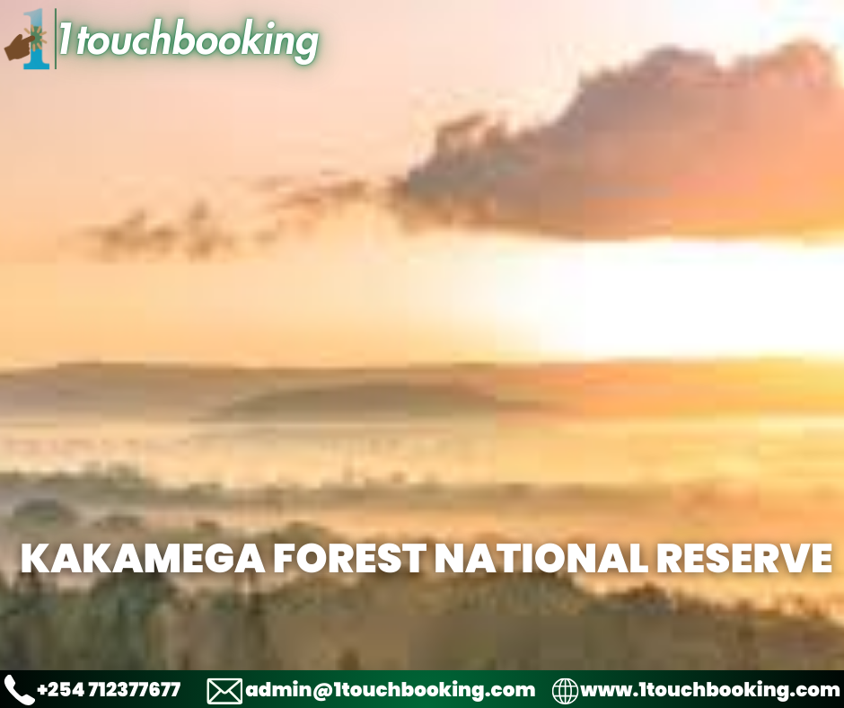 KAKAMEGA FOREST