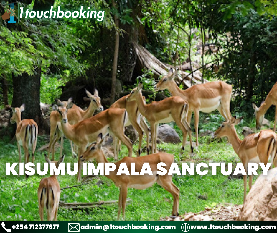 KISUMU IMPALA SANCTUARY