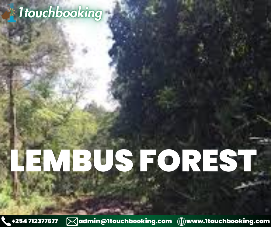 LEMBUS FOREST