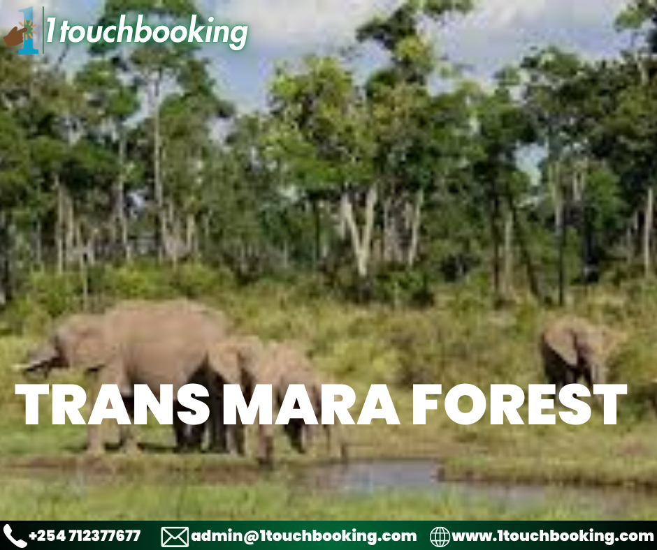 TRANS MARA FOREST