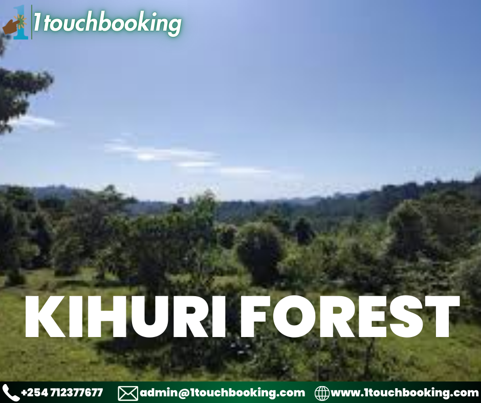 KIHURI FOREST