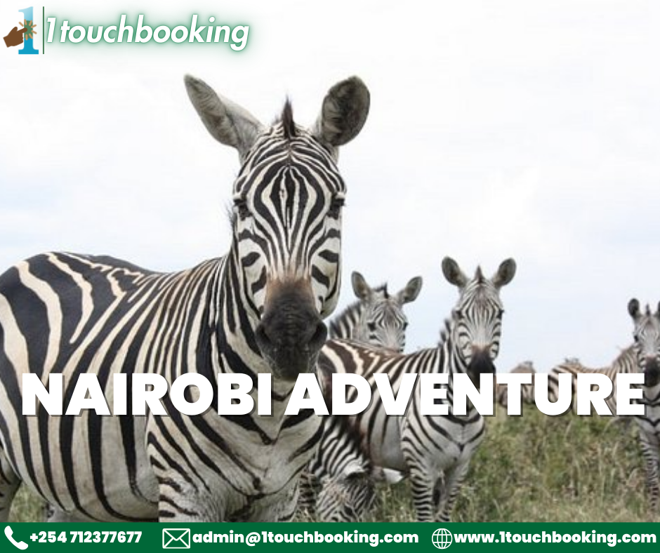 KEY ATTRACTIONS FOR YOUR NAIROBI ADVENTURE