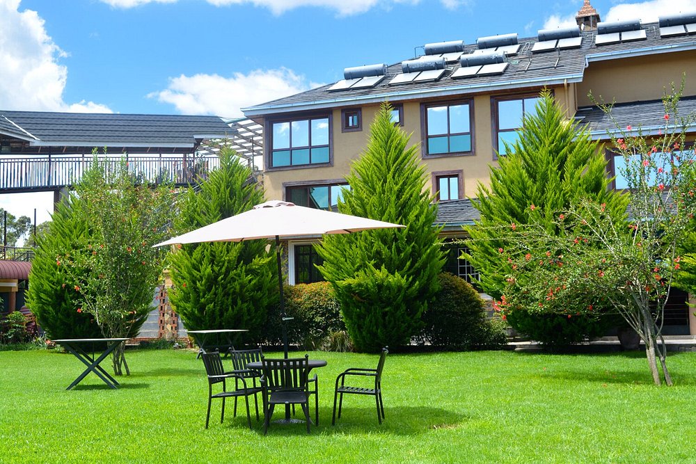 MISTY MOUNTAIN LODGE (Nyeri, Naro Moru)